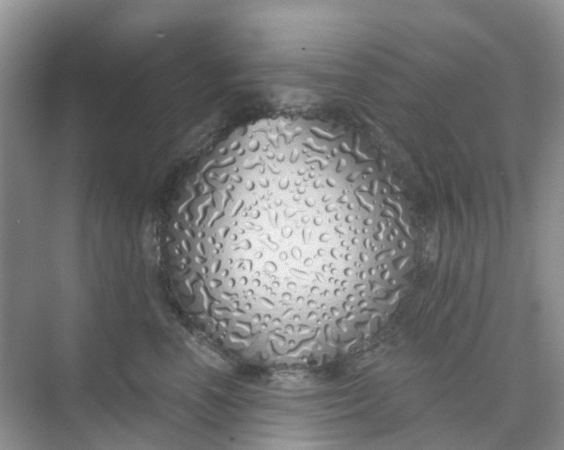 X0000073850666200608312002