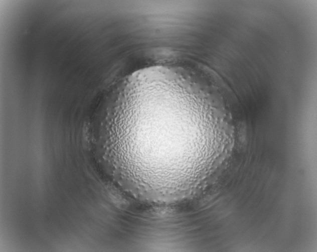 X0000073850667200608312002