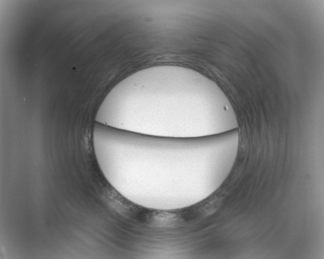 X0000073850669200608312002