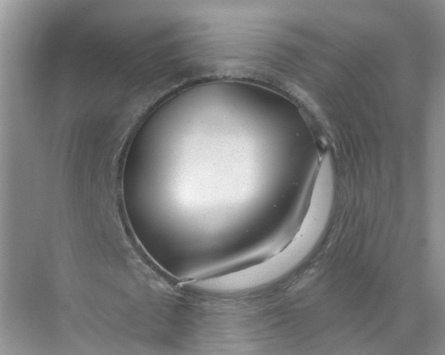 X0000073850673200608312001