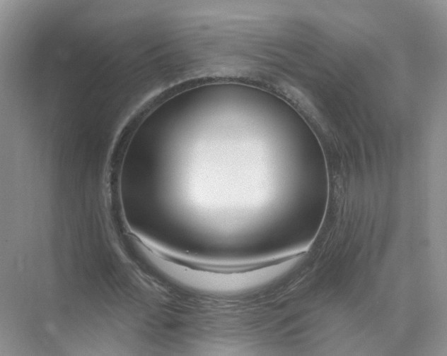 X0000073850676200608312001