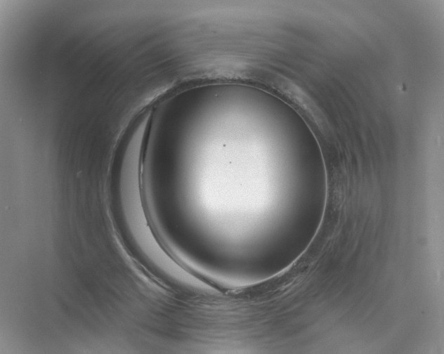 X0000073850677200608312001