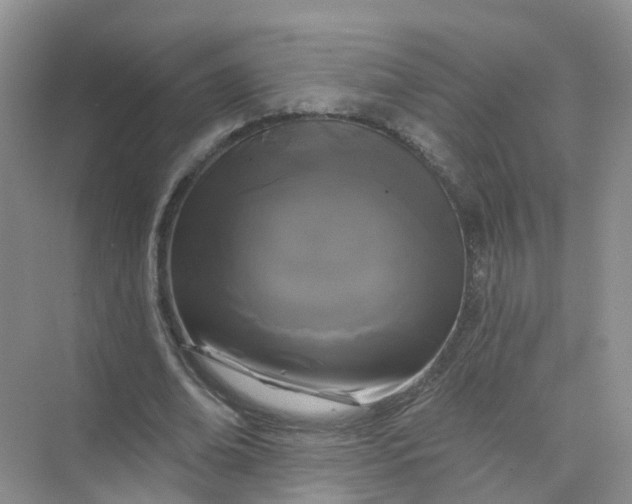 X0000073850678200608312001