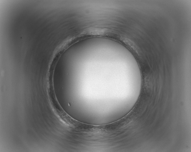 X0000073850682200608312001