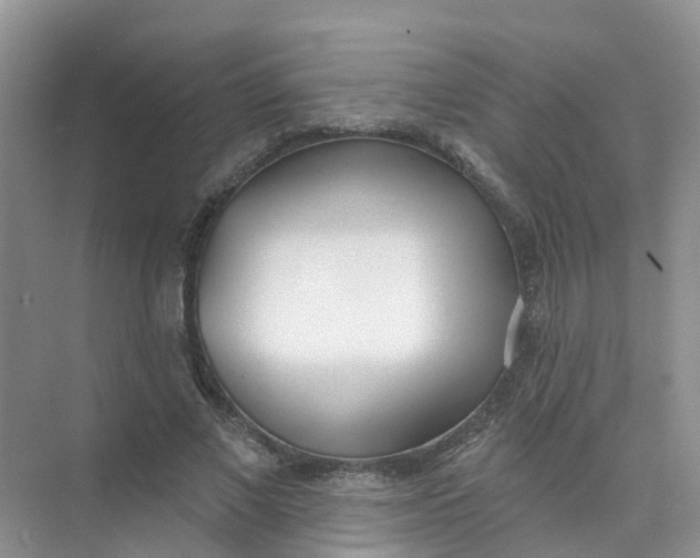 X0000073850685200608312001