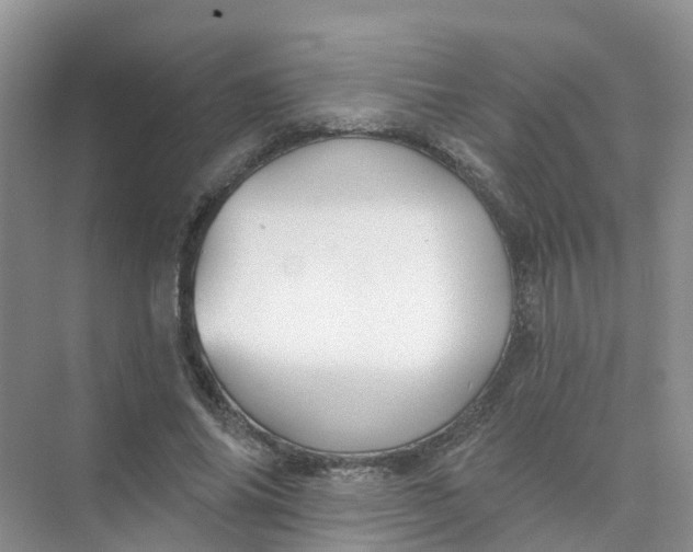 X0000073850686200608312001