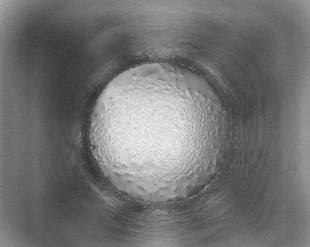 X0000073850687200608312001