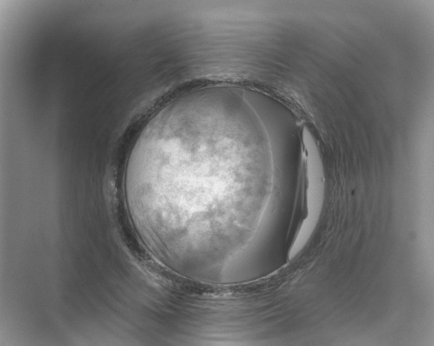 X0000073850688200608312001