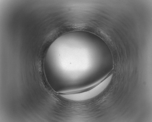 X0000073850689200608312001