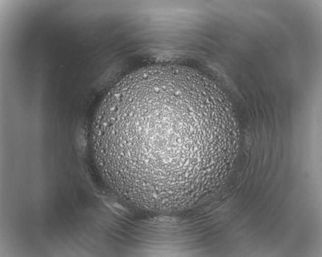 X0000073850691200608312001