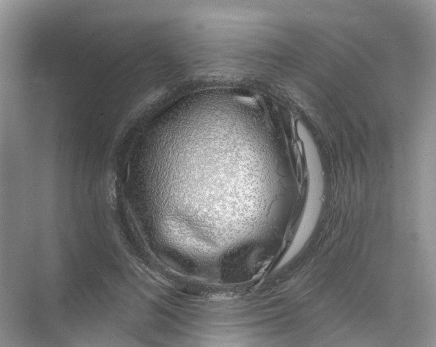 X0000073850692200608312001