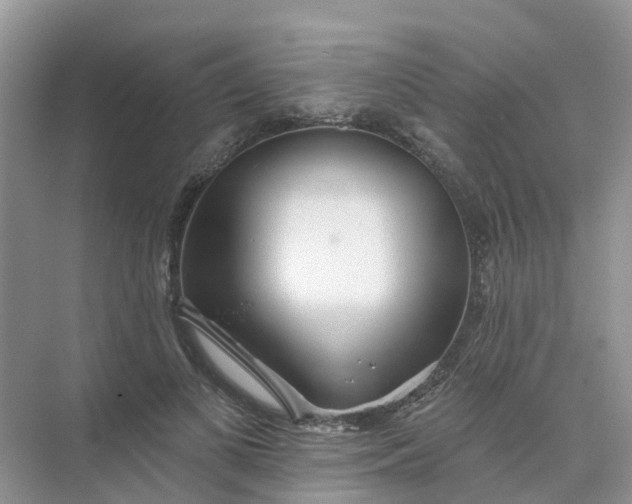 X0000073850693200608312001