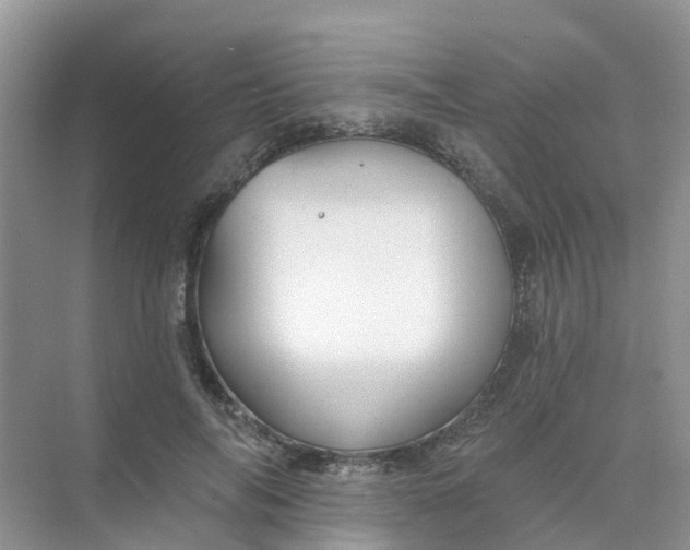 X0000073850694200608312001