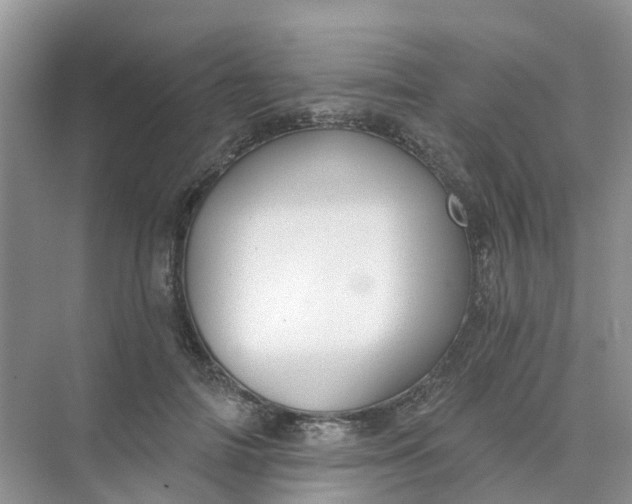 X0000073850698200608312001