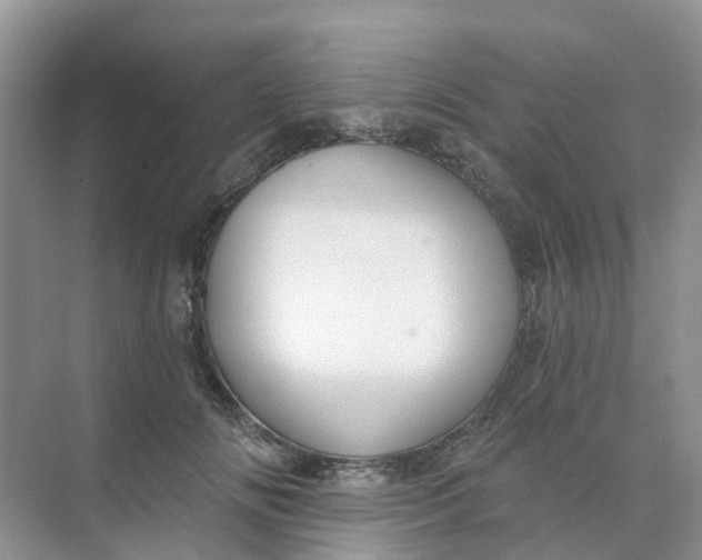 X0000073850702200608312001