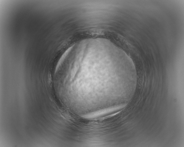 X0000073850704200608312001