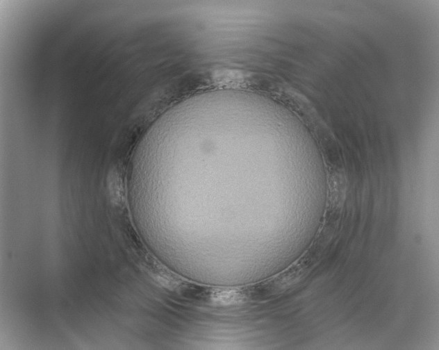 X0000073850705200608312001