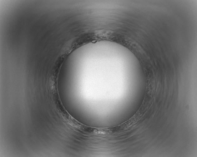 X0000073850706200608312001