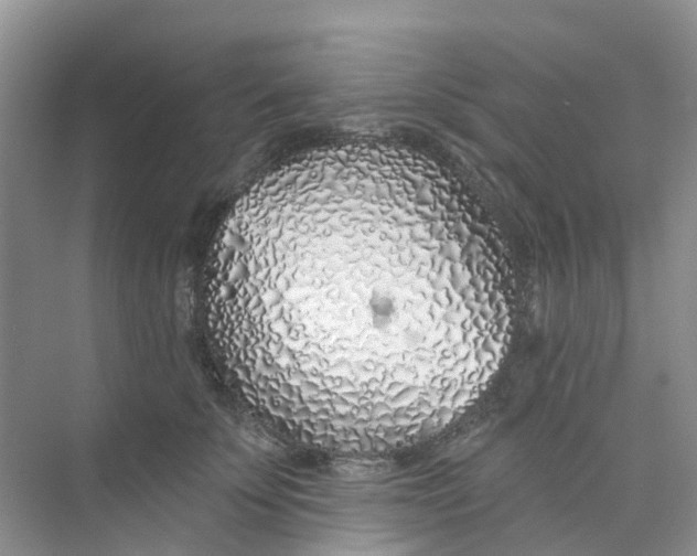 X0000073850707200608312001