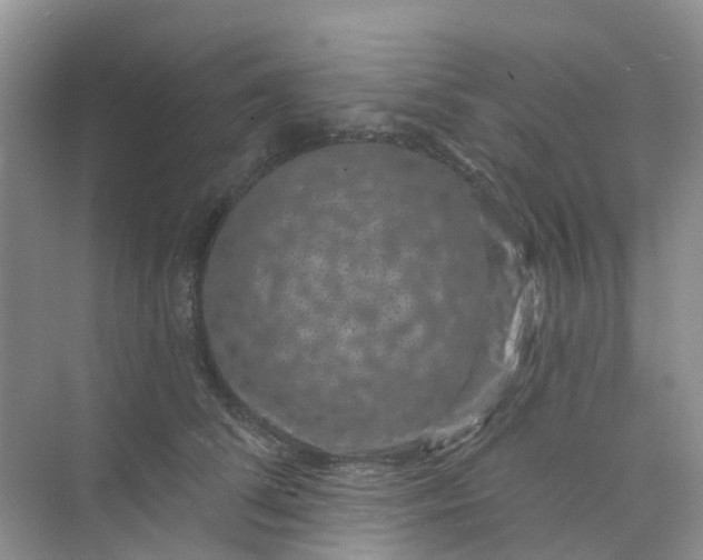 X0000073850708200608312001