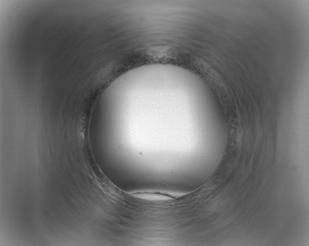 X0000073850710200608312001