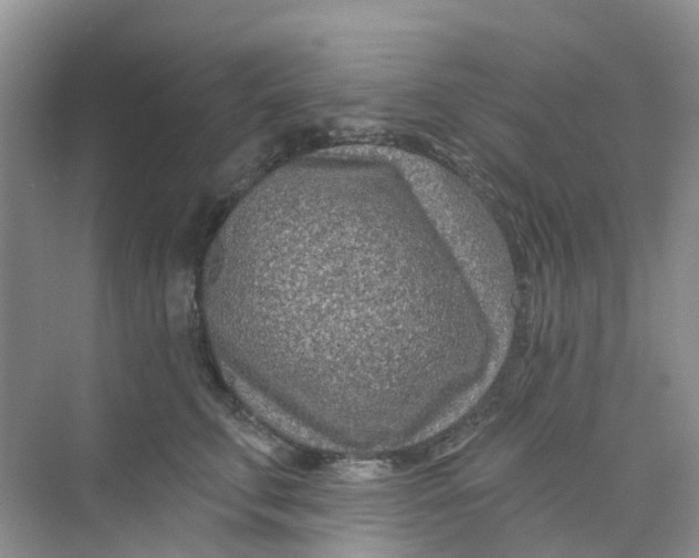 X0000073850711200608312001