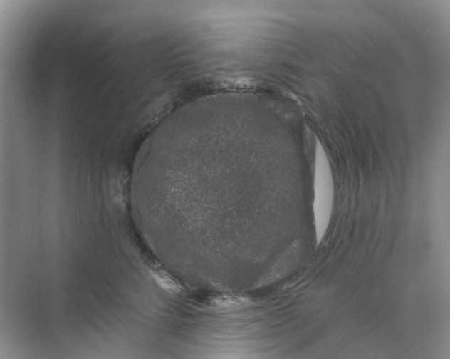 X0000073850712200608312001