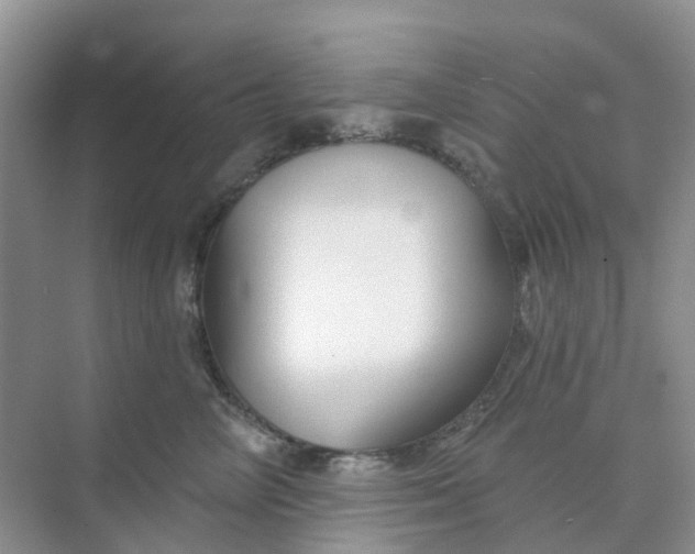 X0000073850714200608312000