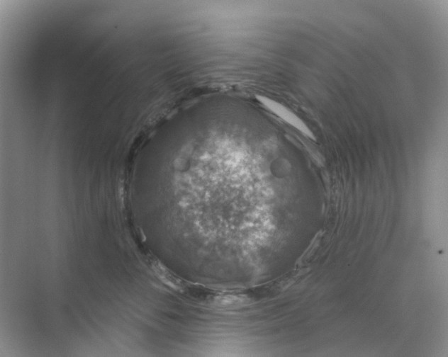 X0000073850716200608312000