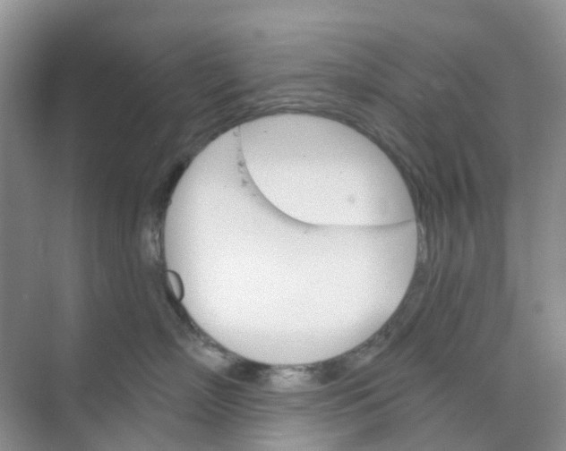 X0000073850718200608312000