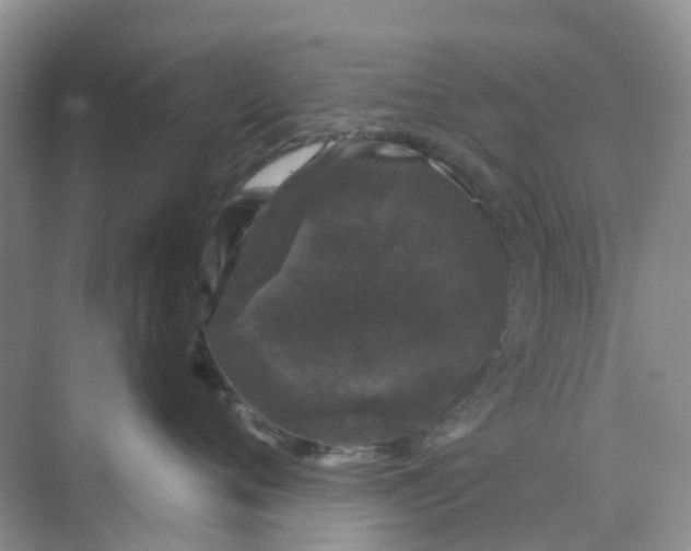 X0000073850720200608312000