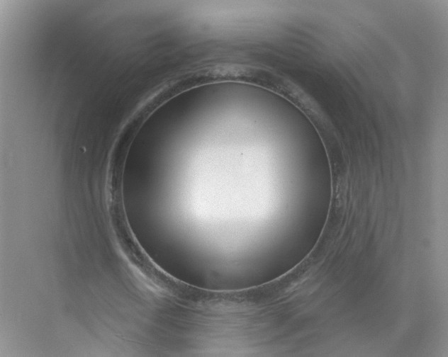 X0000073850722200608312000