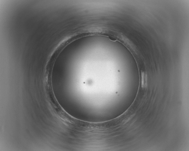 X0000073850723200608312000