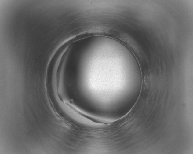 X0000073850724200608312000