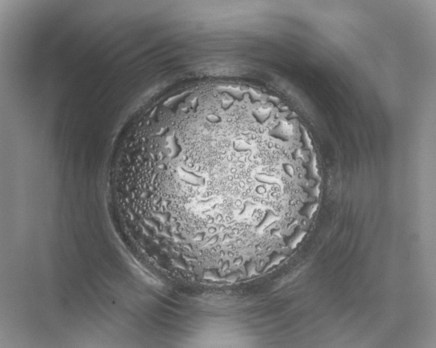 X0000073850725200608312000