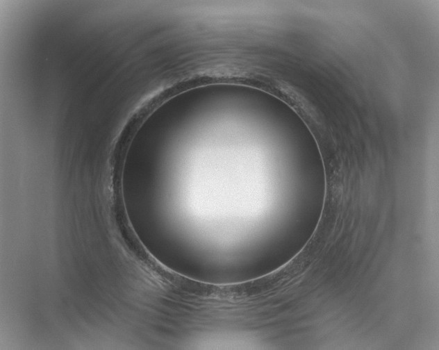 X0000073850727200608312000