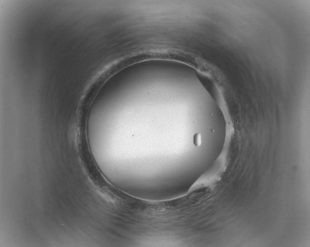 X0000073850728200608312000