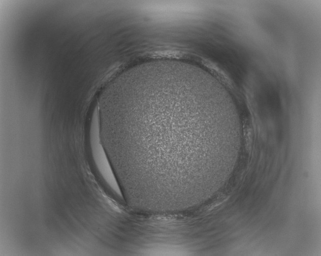 X0000073850729200608312000