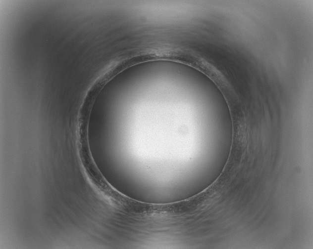 X0000073850730200608312000