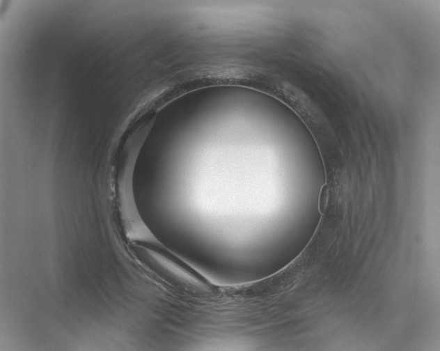 X0000073850731200608312000