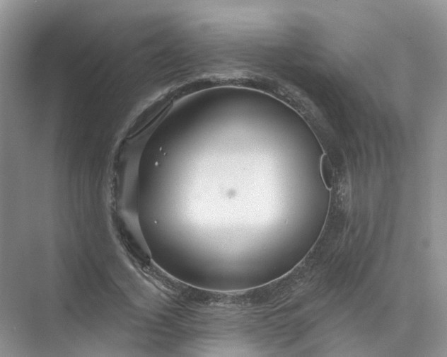 X0000073850732200608312000