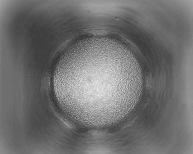 X0000073850733200608312000