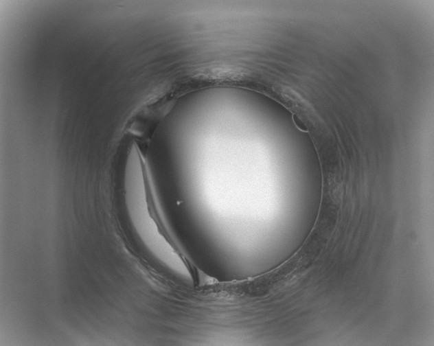 X0000073850735200608312000