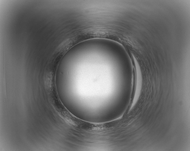 X0000073850744200608312000