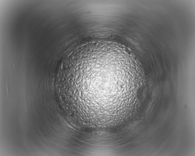 X0000073850745200608312000