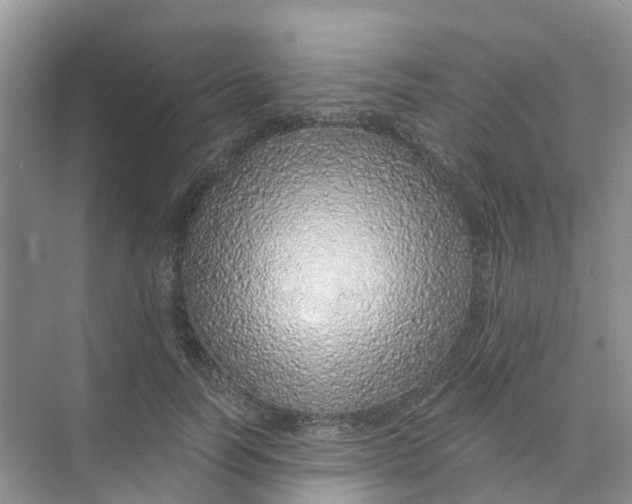 X0000073850746200608312000