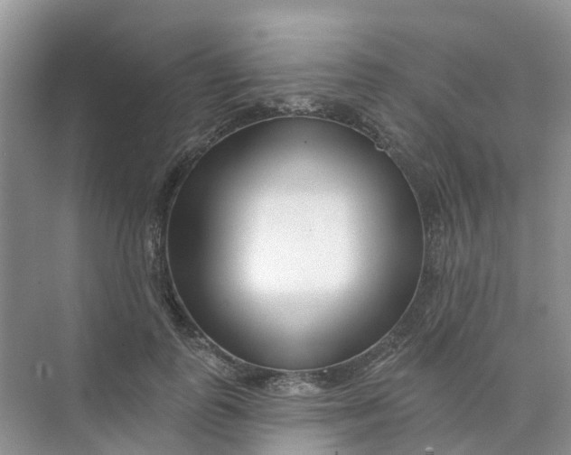 X0000073850747200608312000