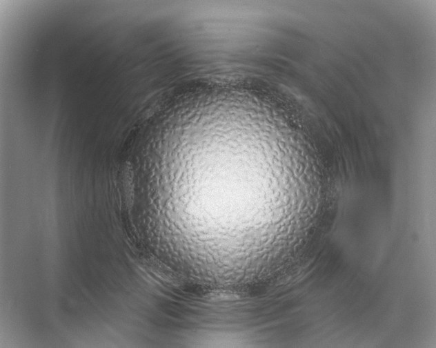 X0000073850749200608312000