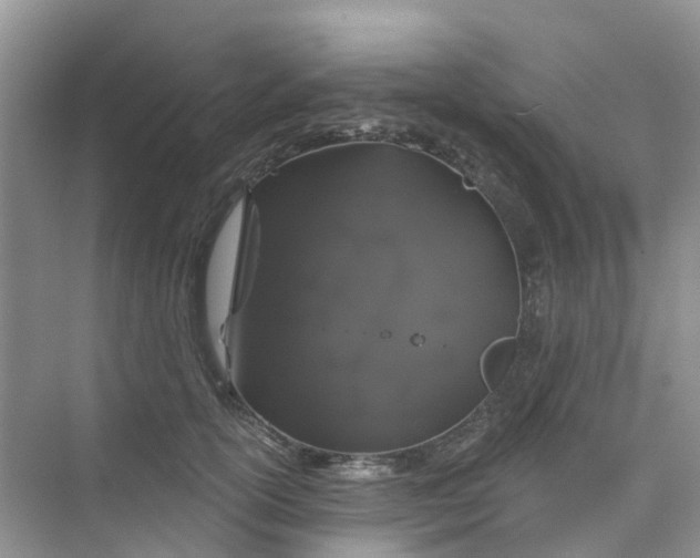 X0000073850754200608312000