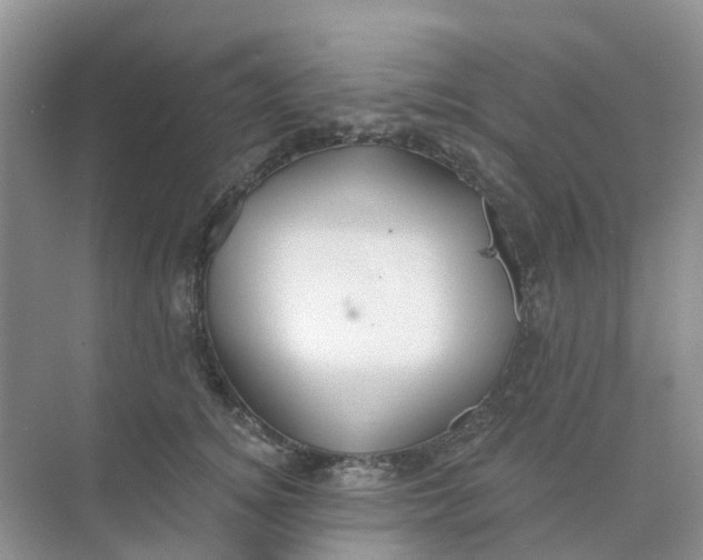 X0000073850756200608312000